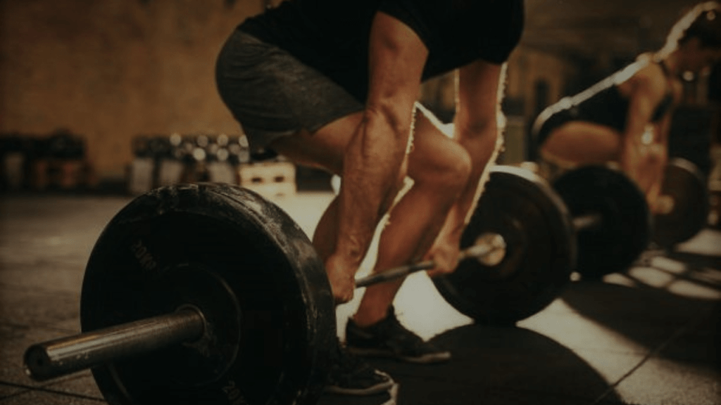 muscle building workout program